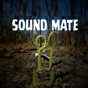 Sound Mate by Thomix Mc