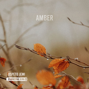 Amber by Floating Log, Ospeto Jemi