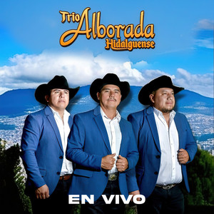 Trio Alborada Hidalguense - Amor de Primavera