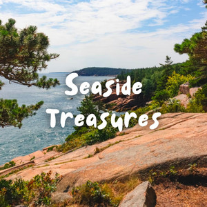 Seaside Treasures album