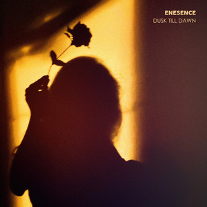Dusk Till Dawn by Enesence