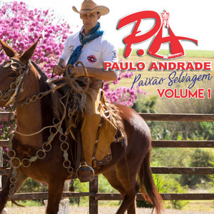 Paulo Andrade - O Coração É Muladeiro