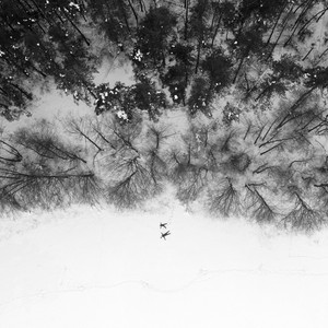 Until Now by Thom Robson