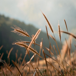 Calm Ease by Lindbraut