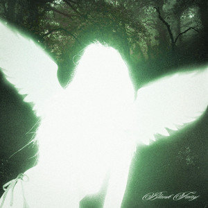 blank fairy