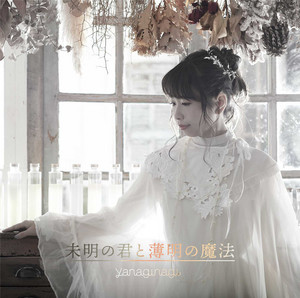 YANAGI FOR / LOVE E YOUR 邦楽