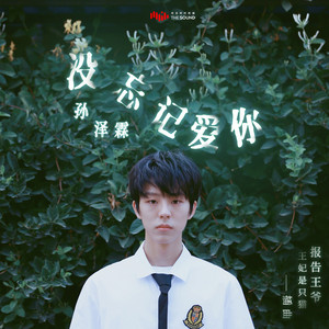 孫澤霖