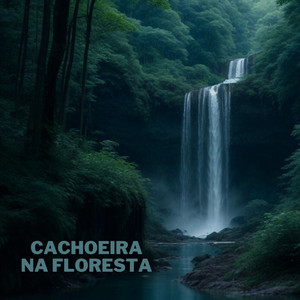 Vozes da Natureza - waterfall in the forest