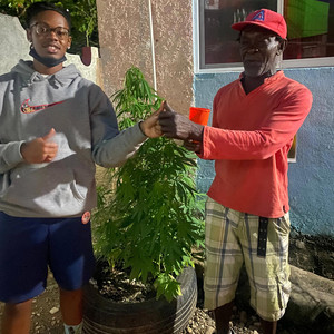 ESMOMENTOUS - !DNGR MN!