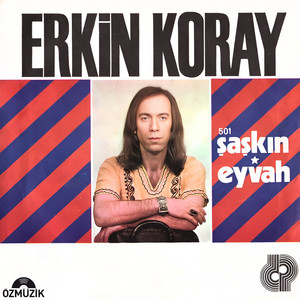 Eyvah by Erkin Koray