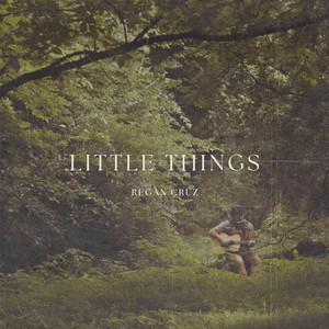 Little Things by Regan Cruz
