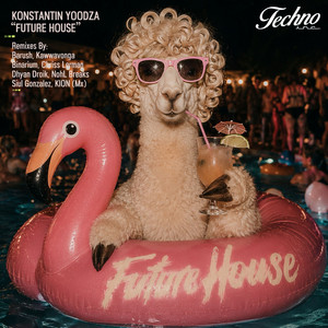 Cover art: Future House - Binarium Remix
