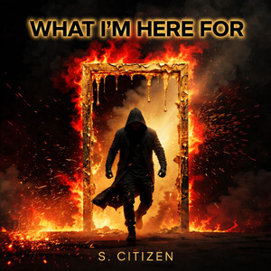 What I'm Here For by S. Citizen
