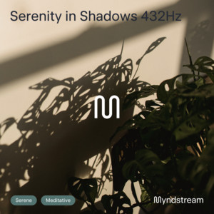 Serenity in Shadows 432Hz by myndstream