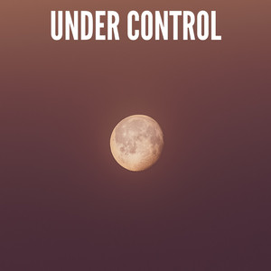 Under Control by L. Jakobsen