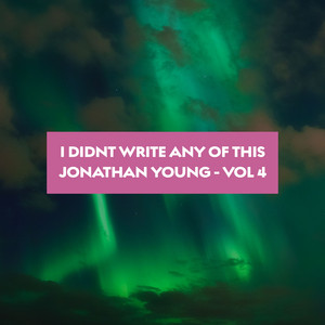 I Didn't Write Any of This (Vol. 4) cover
