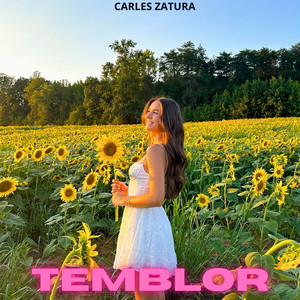 Temblor by Carles Zatura