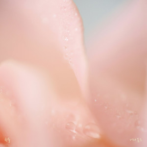 your spring, too by Han All