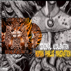 Cerebral Recalibration - Human Phallus Maceration