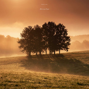Morning Copse by Manuel Wall