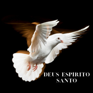 FABIANO LEVITOM - God Holy Spirit (Live)