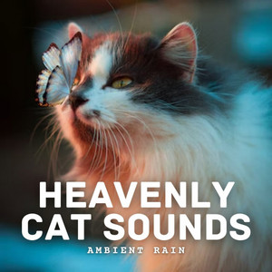 Ambient Rain: Heavenly Cat Sounds album
