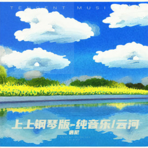 云河（舞曲纯音乐） (翻奏: 王寅观) by 唐尼