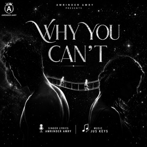 Why You Can’t by Amrinder Amry