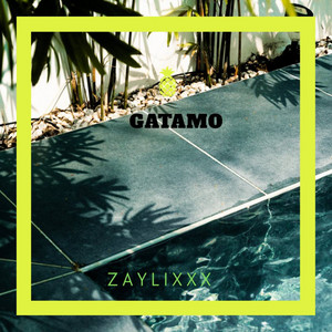 Gatamo by Zaylixxx