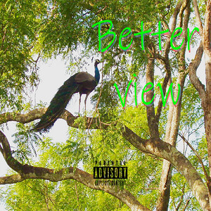 Better View by Robby Ra'$hu