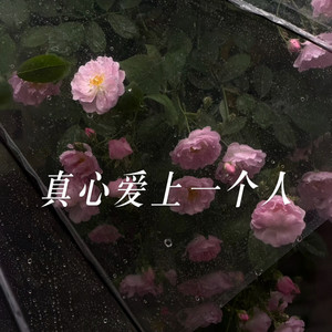 真心爱上一个人 - 合唱版 by 杨友友, 田园