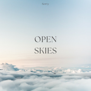 Nightplain by Sorvy