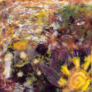 collisions by sünburn
