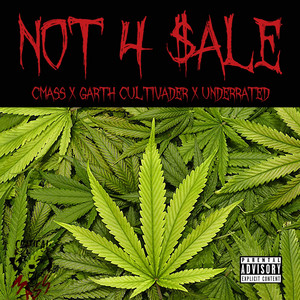 Portada de NOT 4 $aLE