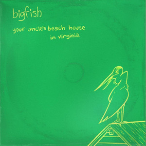 Your Uncle's Beach House in Virginia