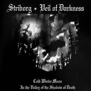 A Strife…A Victory - song and lyrics by Kristallnacht | Spotify