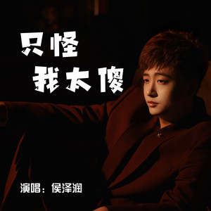 Zerun Hou - 只怪我太傻 (DJ阿本版伴奏)