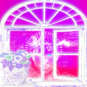 dan1dang3r