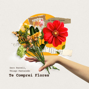 Te Comprei Flores by Zero Pacceli, Thiago Pantaleão, Fresh Records