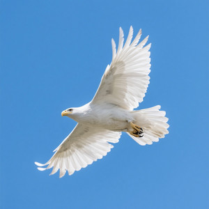 Ulimartin - go away from my heart.wav