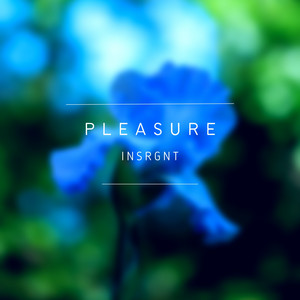 Pleasure