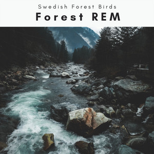 1 Forest REM album