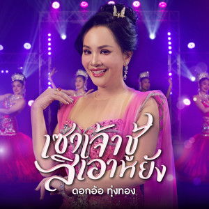 เซาเจ้าชู้สิเอาหยัง by Dok Or Toong Tong