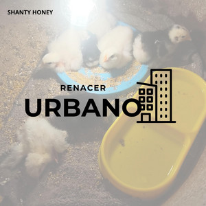 RENACER URBANO by Haydenn Dth