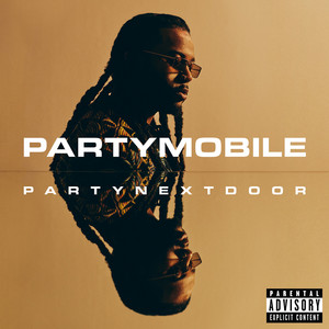NEVER AGAIN by PARTYNEXTDOOR