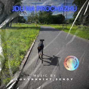 LukyNNN147 - Jdu na Procházku (feat. Sendy)
