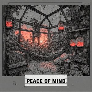 Peace Of Mind by Capital Boom