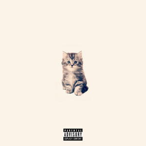 BIGFLEK - SOFT KITTEN