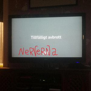 Nerverna