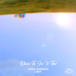 Where's The Fun In That by Areeb Mahmood, Luma